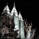 Angrygardner-1322969783816